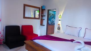 Coconut Tree House - Udawalawe - 6