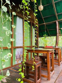 Coconut Tree House - Udawalawe - 4