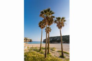 Villa Miguel Dos - Cala'n Bosch - 9
