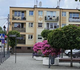 Rynek-Centrum - Olsztynek - 1