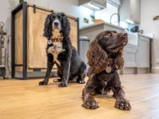 1 Bed in Richmond 88589 - Easby - 3
