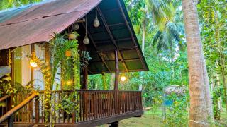 Coconut Tree House - Udawalawe - 9