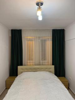 Caza Livo Apartment - Oradea - 4