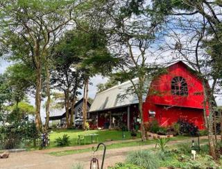 Loresho Guesthouse - Nairobi - 9