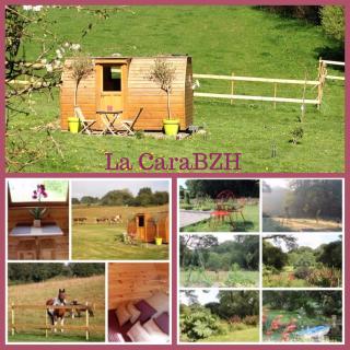 Carabzh, la petite roulotte unique ! - Guimiliau - 7