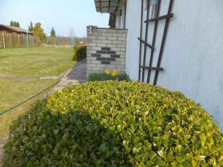 Karlshagen_ Haus Boettcher - 0