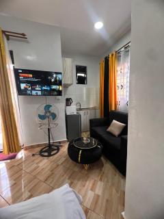 HA LUXURY STUDIO SUITE 2 buziga - Kampala - 9