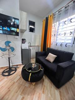 HA LUXURY STUDIO SUITE 2 buziga - Kampala - 8