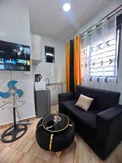 HA LUXURY STUDIO SUITE 2 buziga - Kampala - 4