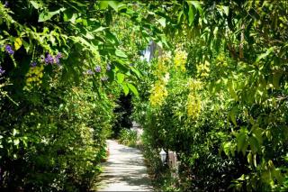 בקתות מאיה רמות - Moshav Ramot - 7