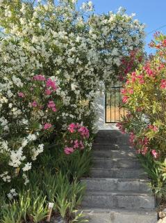 La Casita Blanca- La Almona Chica - 1