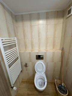Caza Livo Apartment - Oradea - 7