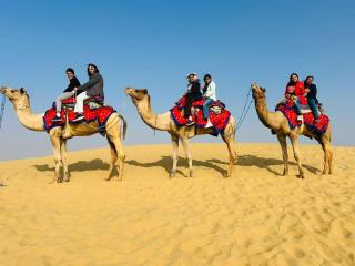 hotel robin Jaisalmer - Jaisalmer - 5