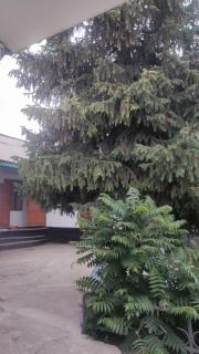 Simple - Cholpon-Ata - 3