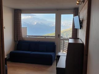 Studio cabine confortable - Accès pistes, animaux admis - FR-1-181-2712 - Aime La Plagne - 0