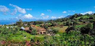 Nature Sanctuary, a semi-detached house on an ecological & sustainable farm - Santa Maria de Guia - 9