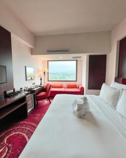 Hotel Grand Villa Near By IGI Ariport - New Delhi - 5
