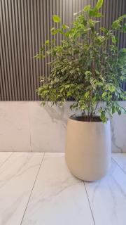 ALLEGRA Lake Towers - Nuevo y moderno! Exc ubicación -Lo vas a amar - 4