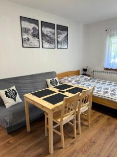 Pokoje gościnne Kozica - Zakopane - 9