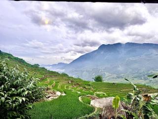 Surelee Homestay - Sa Pa - 1