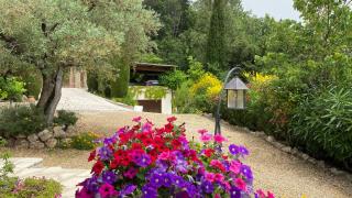 Petitsouci - 6