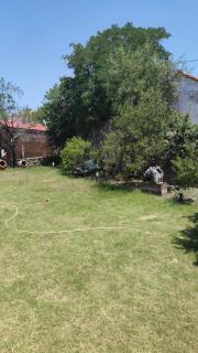 Limon Çiçeği Apart - Barbaros - 9