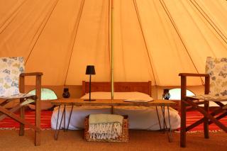 Lilypad - Swannington - 7