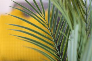 Home2Book Bright & Comfy Stay Pto del Rosario - Puerto del Rosario - 6