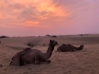 Hotel desert village of - Jaisalmer - 0