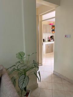 Diana Homes - Meru - 4