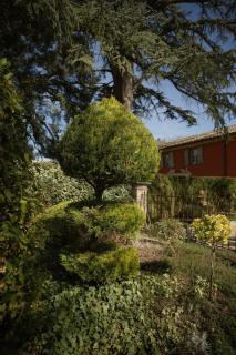 Studio - Le Sainte-Victoire - 7