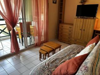 Appart 2 pièces avec piscine et parking à Port Camargue - FR-1-250-293 - 3