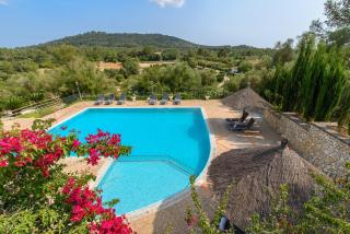 Ideal Property Mallorca - Son March - Petra - 0