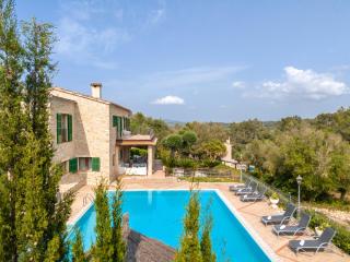Ideal Property Mallorca - Son March - Petra - 9