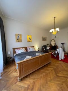 Štěpánská - Prag - 7