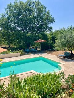 Les oliviers - Saignon - 3
