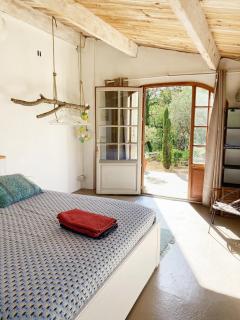 Les oliviers - Saignon - 1
