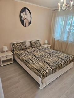 Dary Apartment - Turnu Măgurele - 9