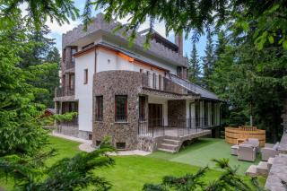 Castelul de Piatra - Păltiniş - 5