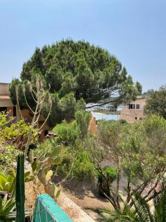 Beach House A20 - Porto Rafael - 4