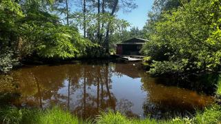 L'Aquarium de Proust sous les arbres - Lacanau - 5