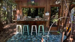 L'Aquarium de Proust sous les arbres - Lacanau - 7