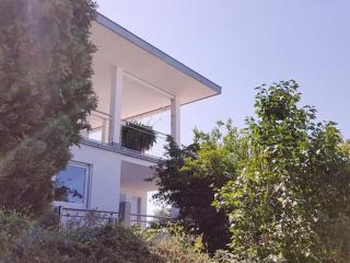 Die Ferienwohnung - Bad Bellingen - 3
