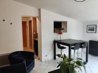 Lumineux T2, 4 pers, jardin privé, terrasse - Trélazé - 2