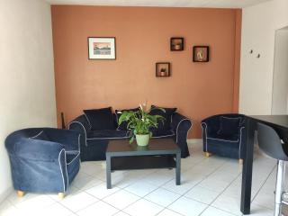 Lumineux T2, 4 pers, jardin privé, terrasse - Trélazé - 3