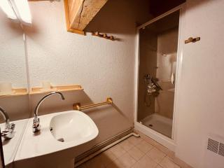 Appartement duplex avec balcon et animaux admis, proche pistes - Vallandry - FR-1-757-103 - Landry - 4