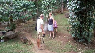 Ella Nature Park Hotel - Ella - 8