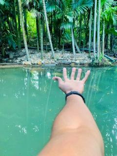 Ella Nature Park Hotel - Ella - 0