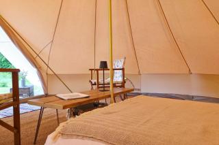 Lilypad, Iris and Bulrush - 7