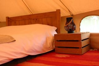 Lilypad, Iris and Bulrush - 6